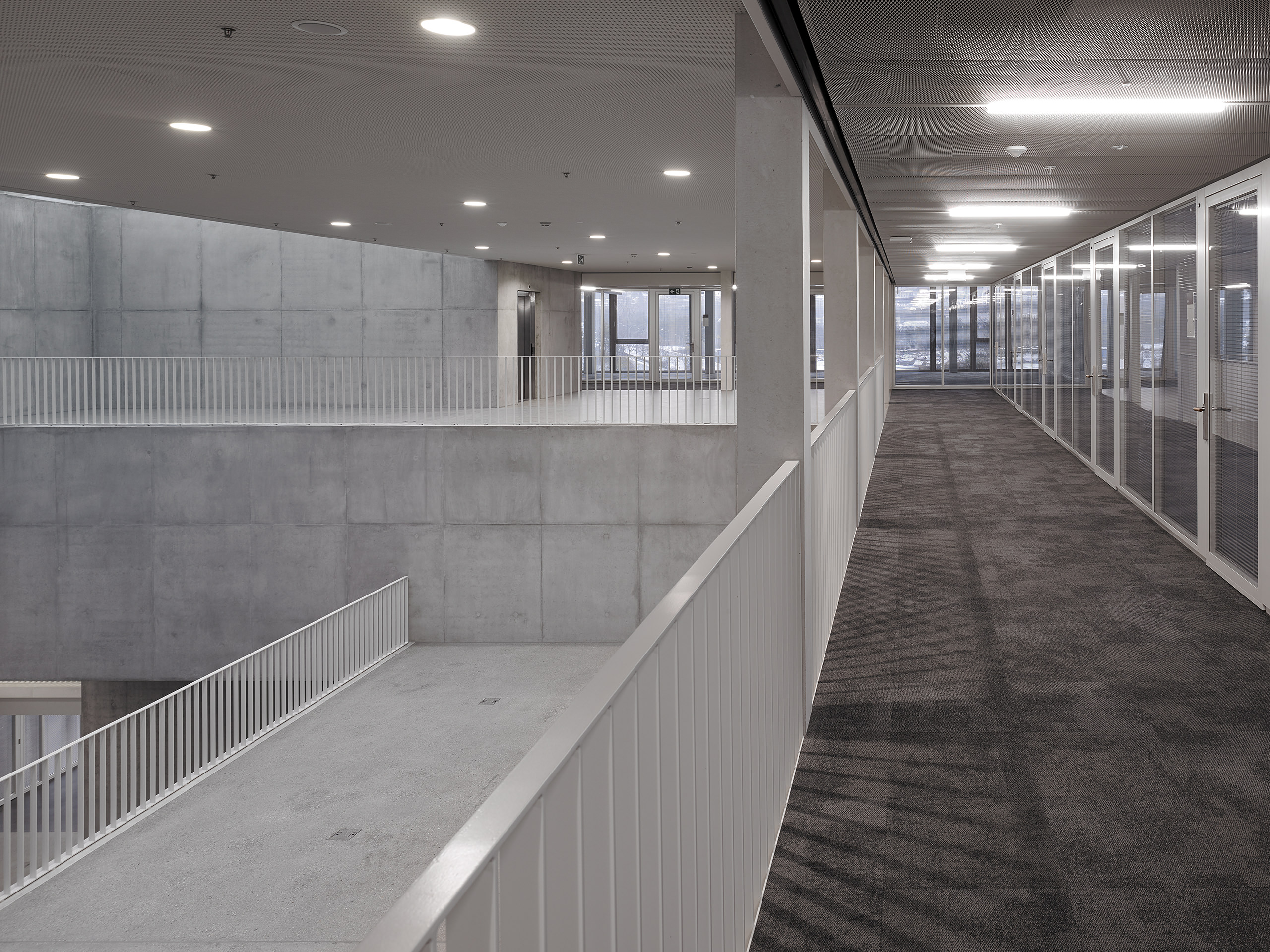 Synathlon / UNIL Sport Cluster